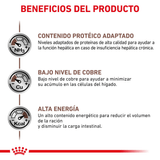 VHN HEPATIC CAT - BENEFICIOS
